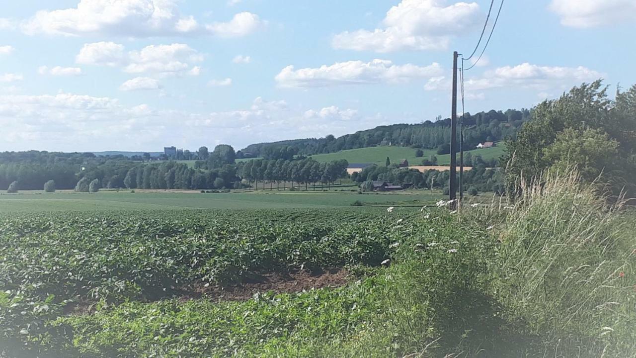 Alter Ego La Maison De Vacances, Au Pays Des Collines Vila Frasnes-lez-Anvaing Exterior foto